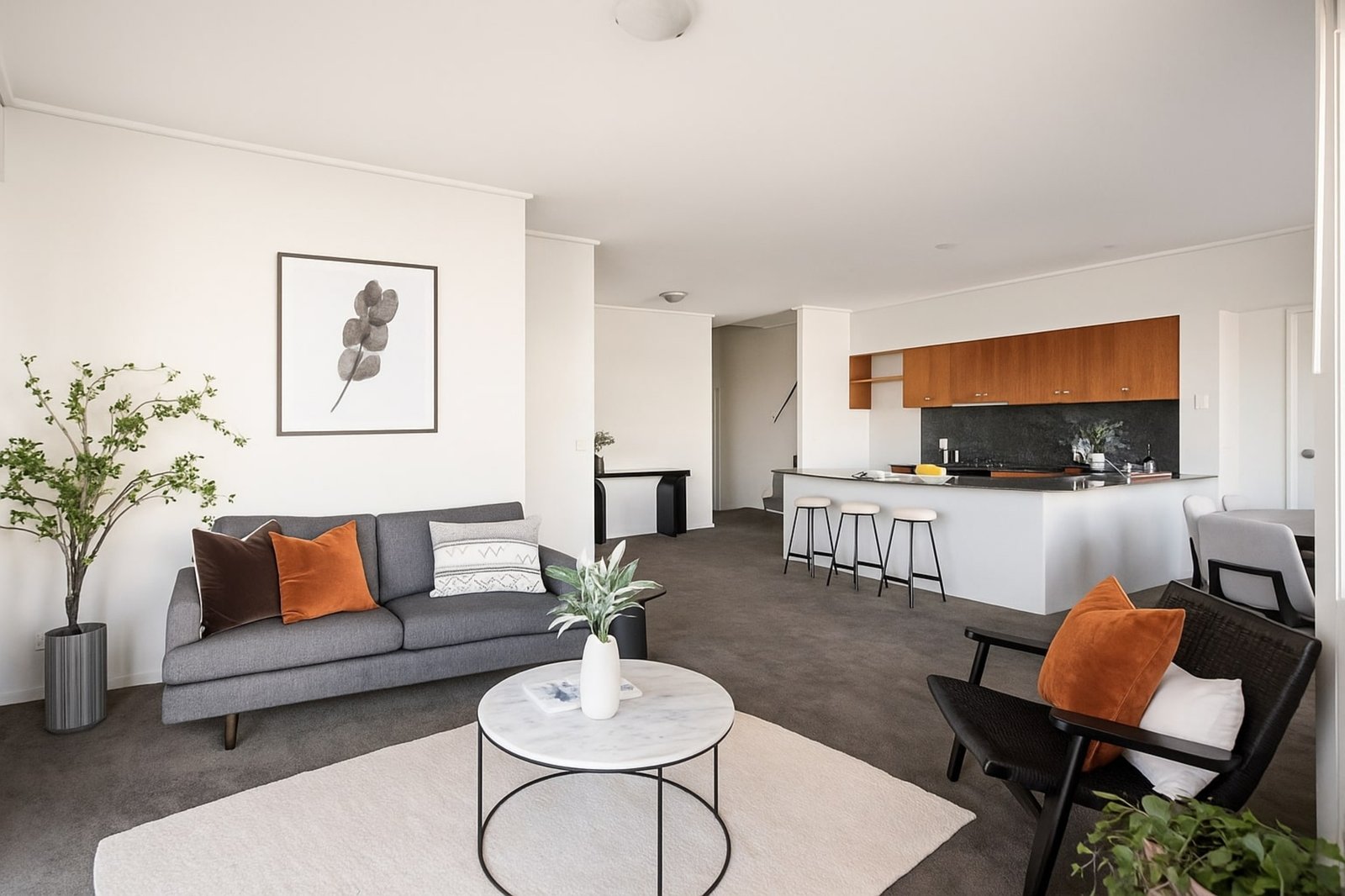 Gallery: 509/23 Queens Road