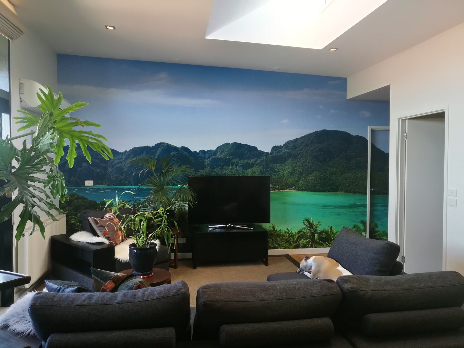 Gallery: 509/7 Greeves Street