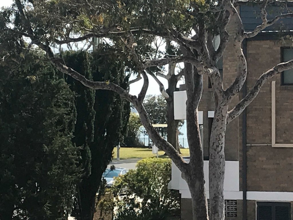 5/1-3 Government Road SHOAL BAY 7