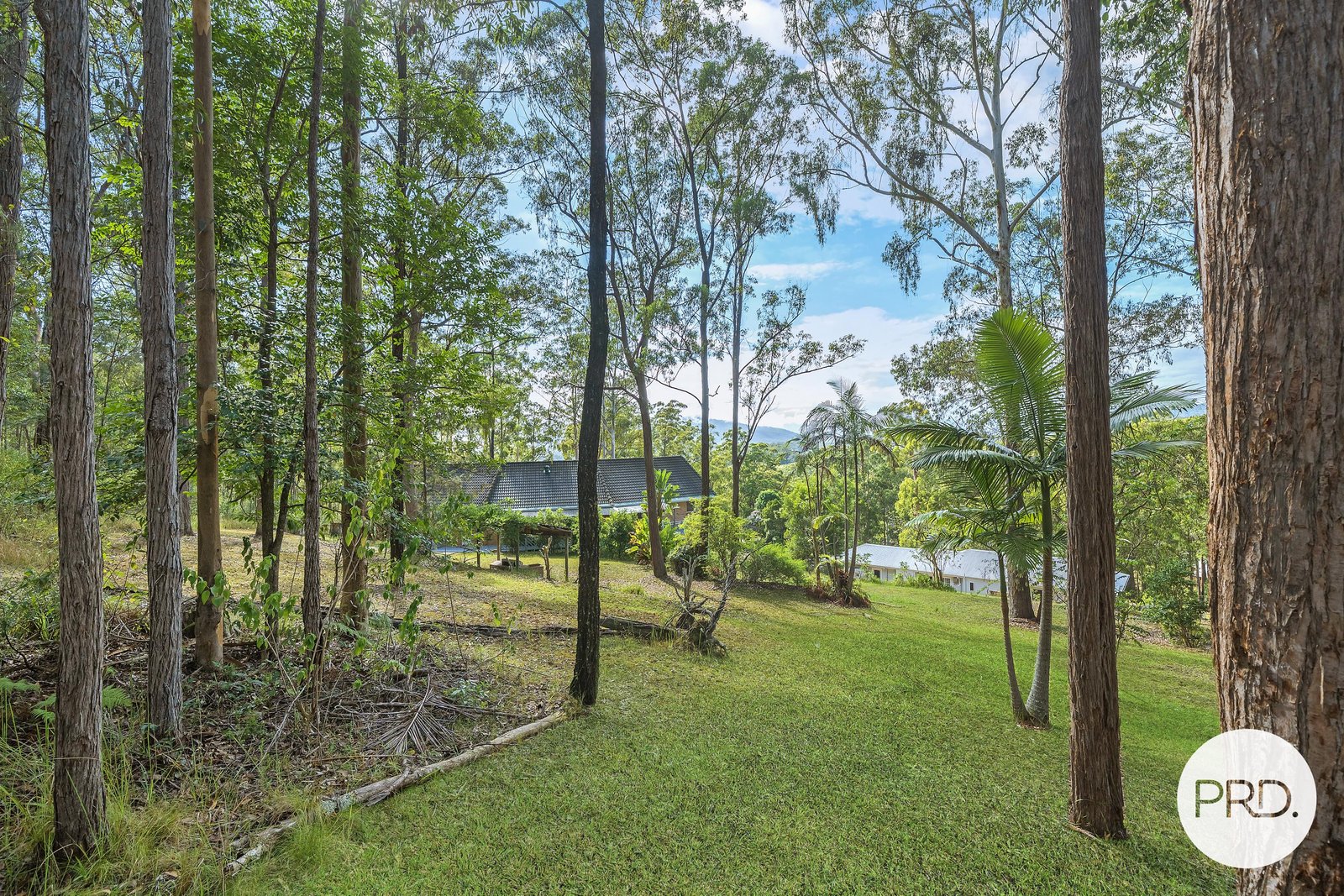 51 Benaroon Drive KENDALL 3