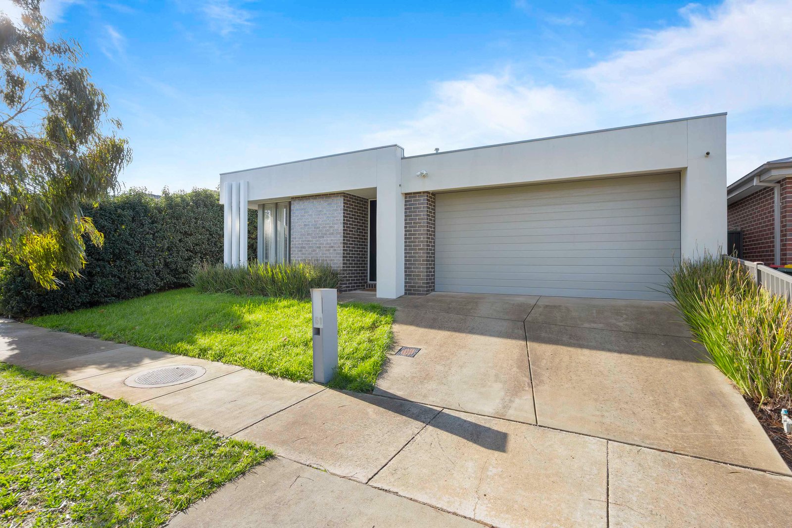 Gallery: 51 Daly Drive