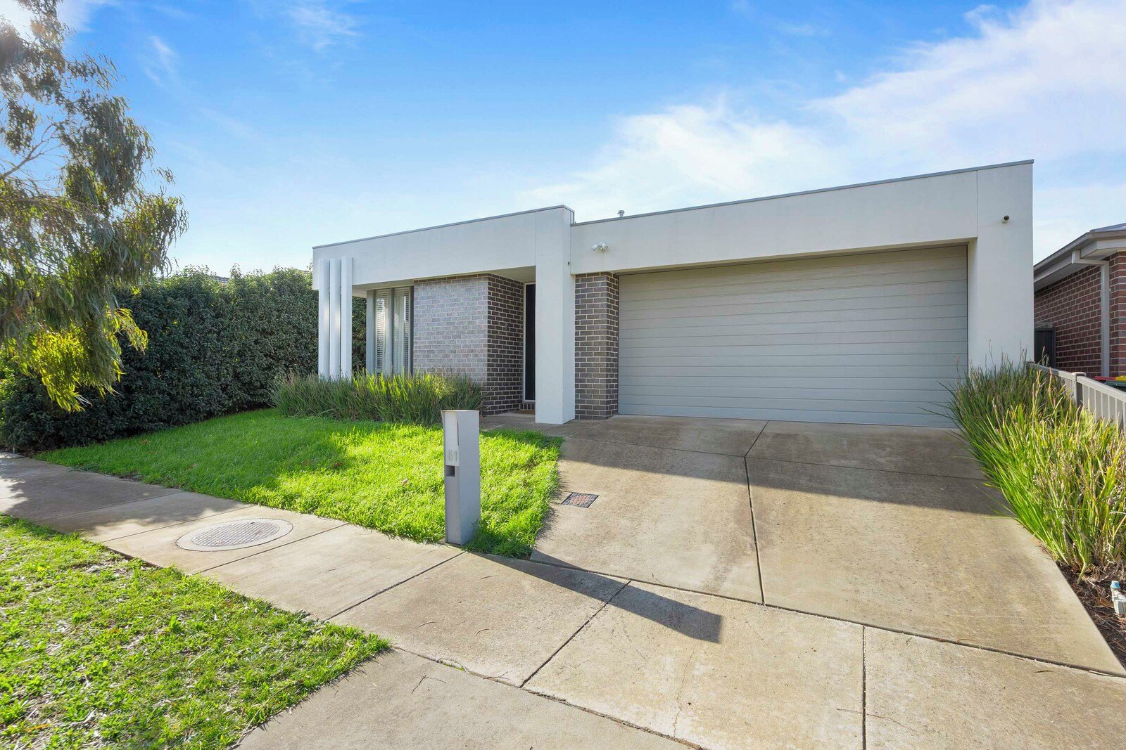 Gallery: 51 Daly Drive