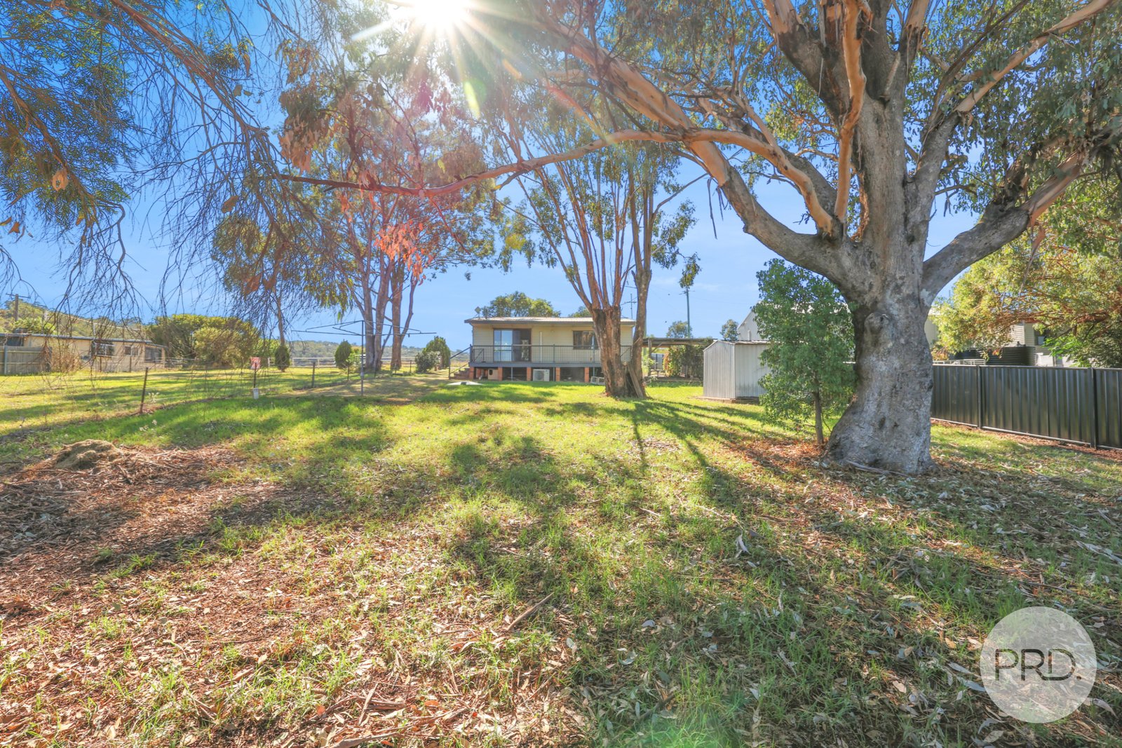 51 Hall Street WILLOW TREE 11