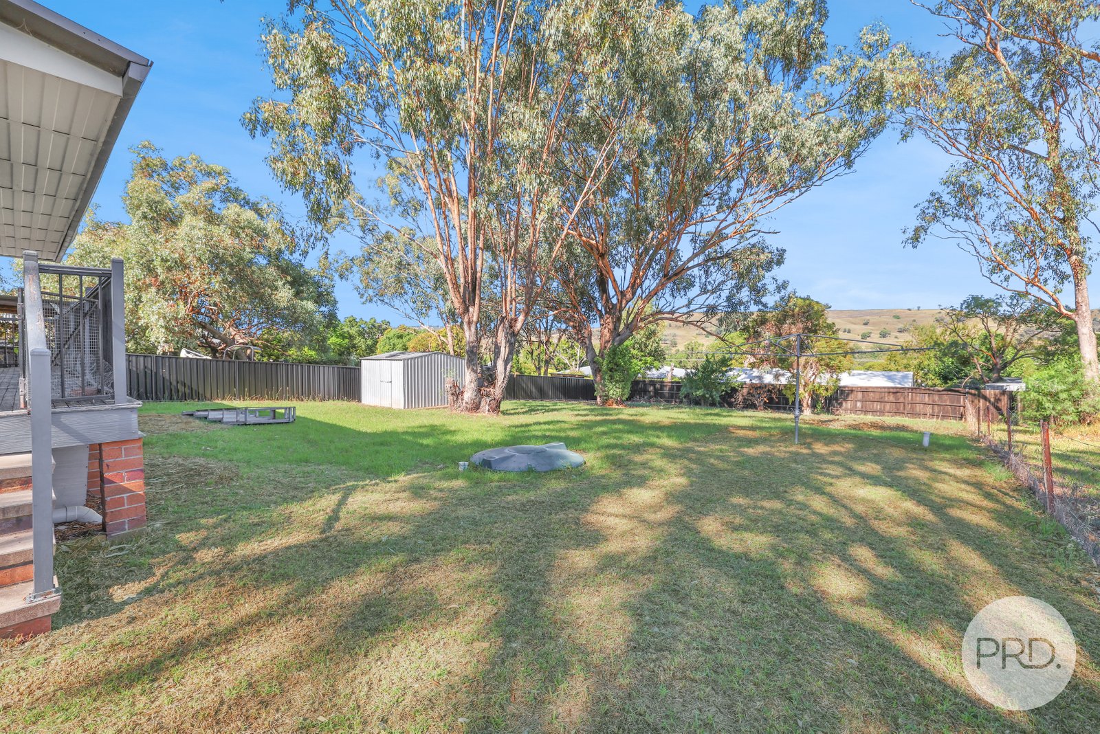 51 Hall Street WILLOW TREE 12