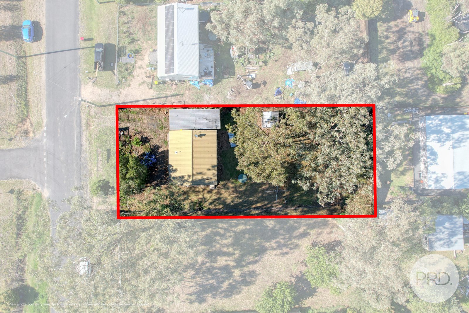 51 Hall Street WILLOW TREE 13