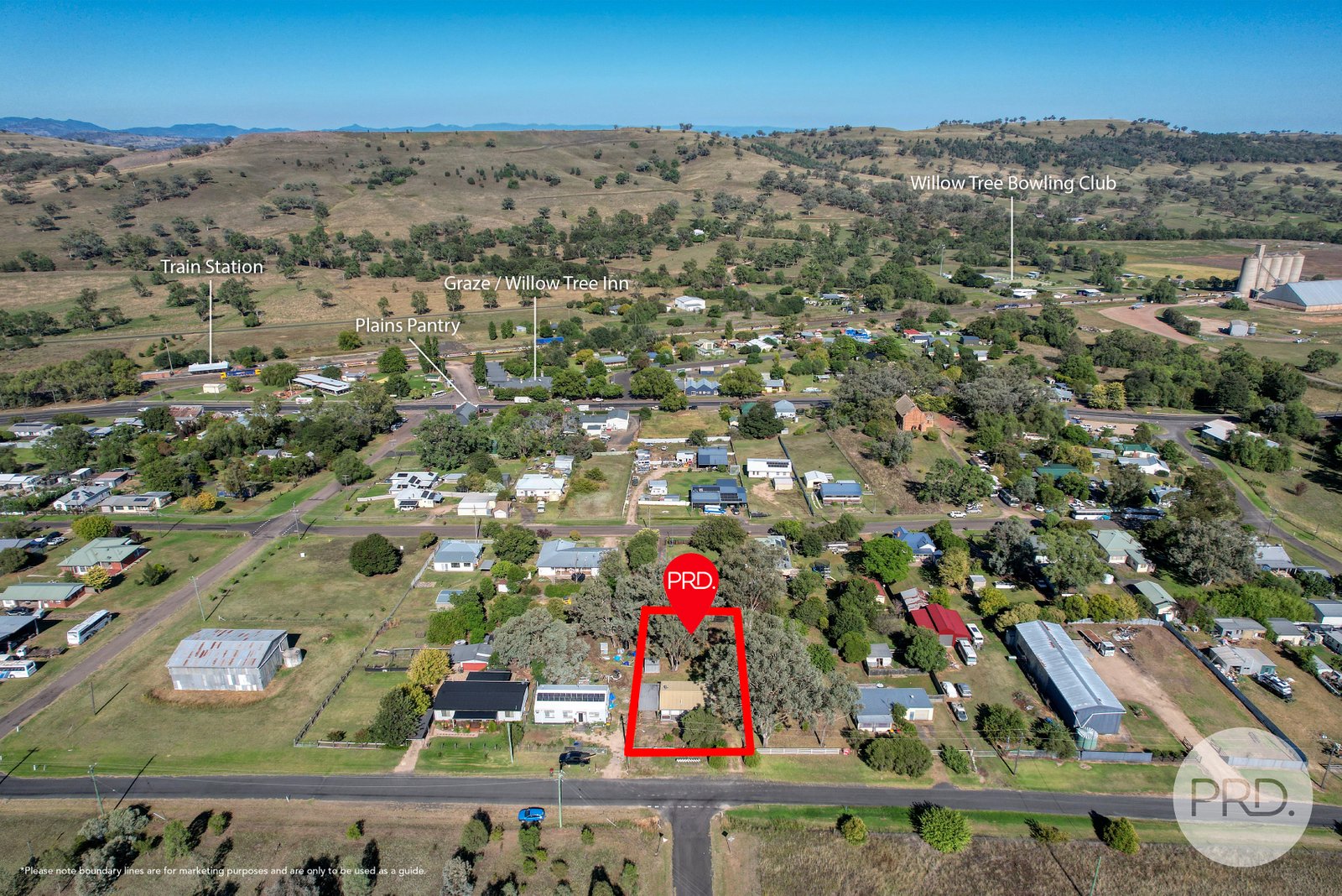 51 Hall Street WILLOW TREE 14