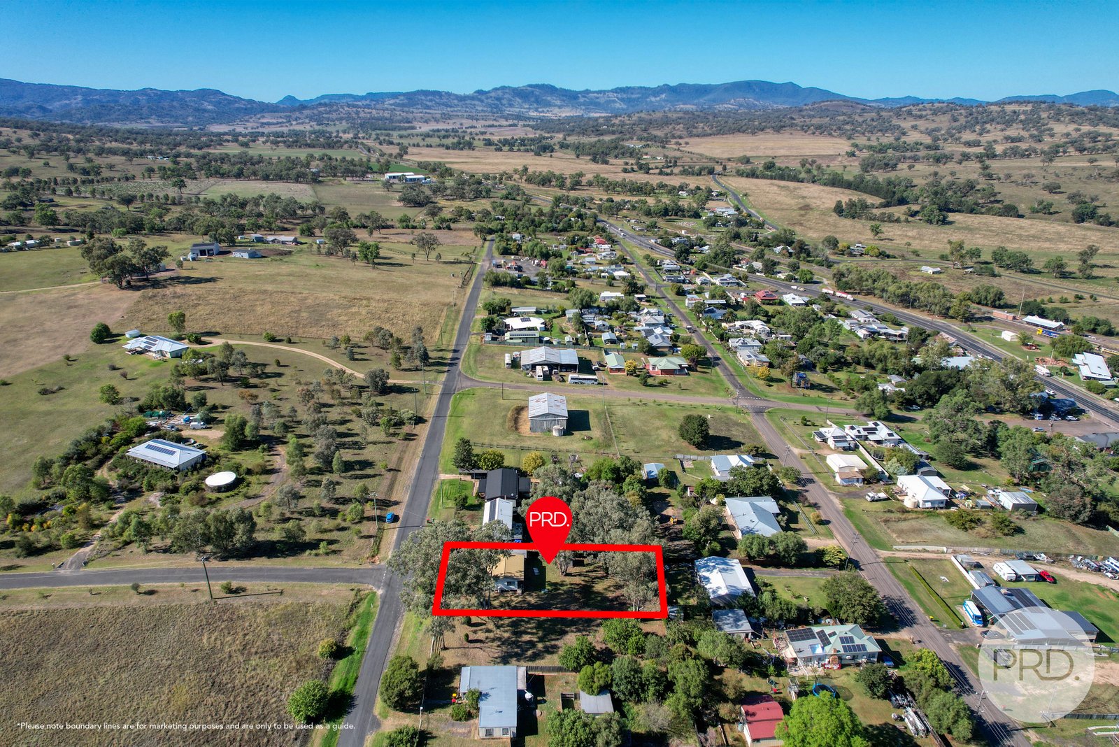 51 Hall Street WILLOW TREE 15