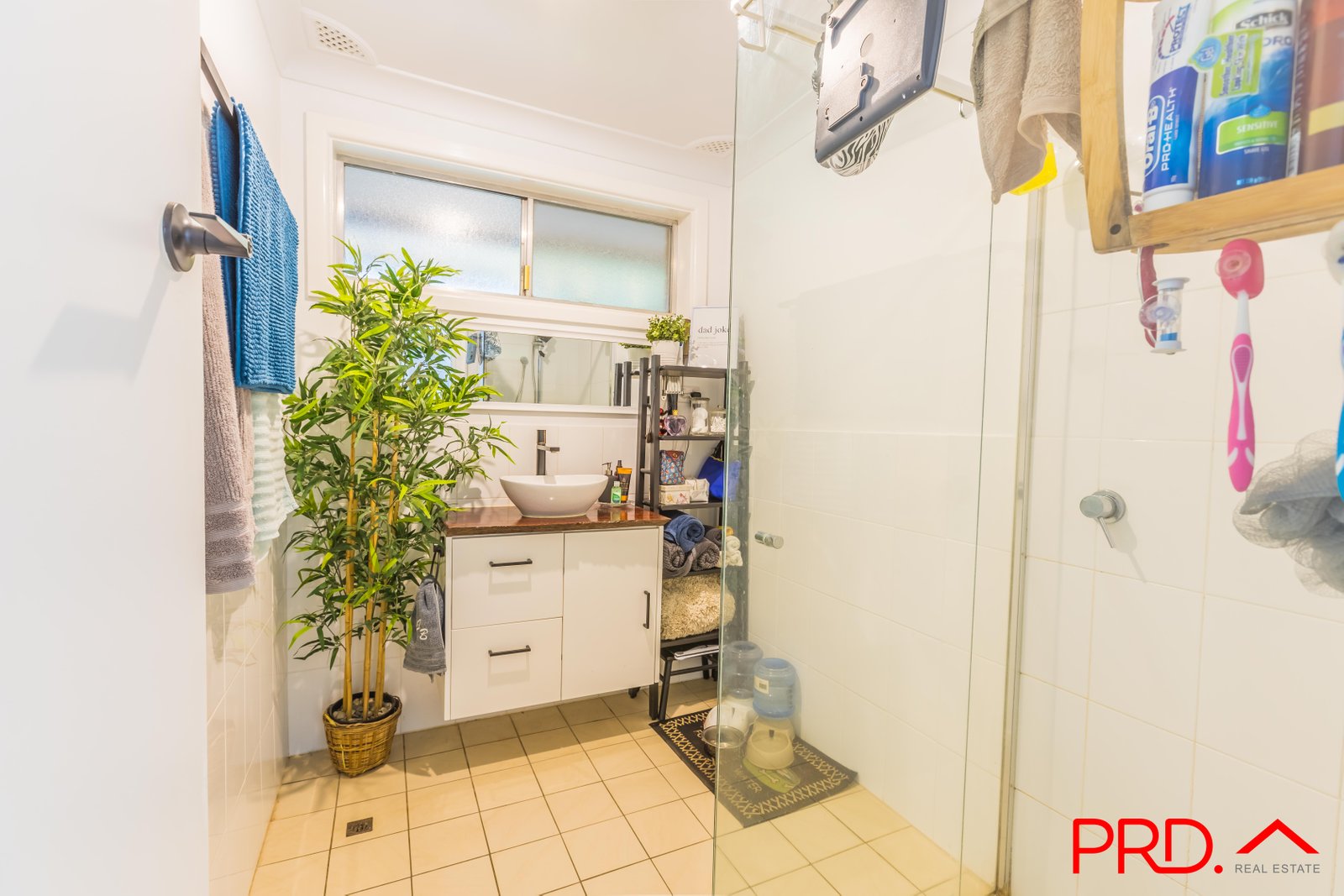 51 Hyman Street TAMWORTH 19