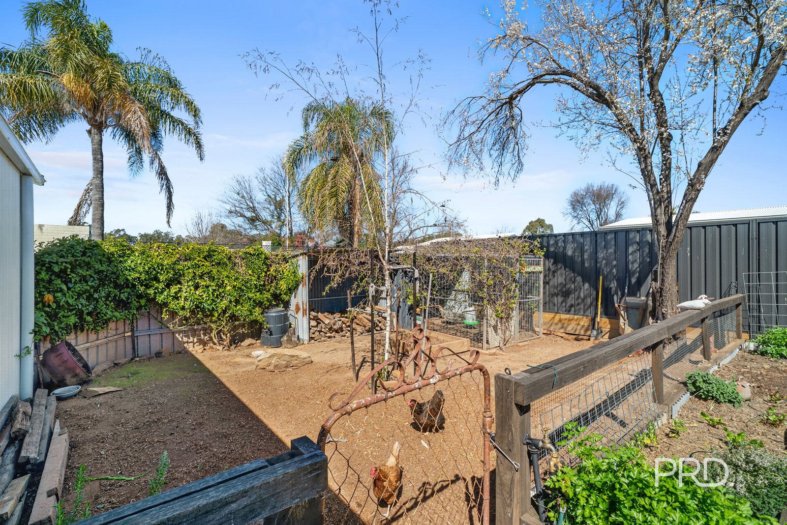 51 Inglis Street LAKE ALBERT 20