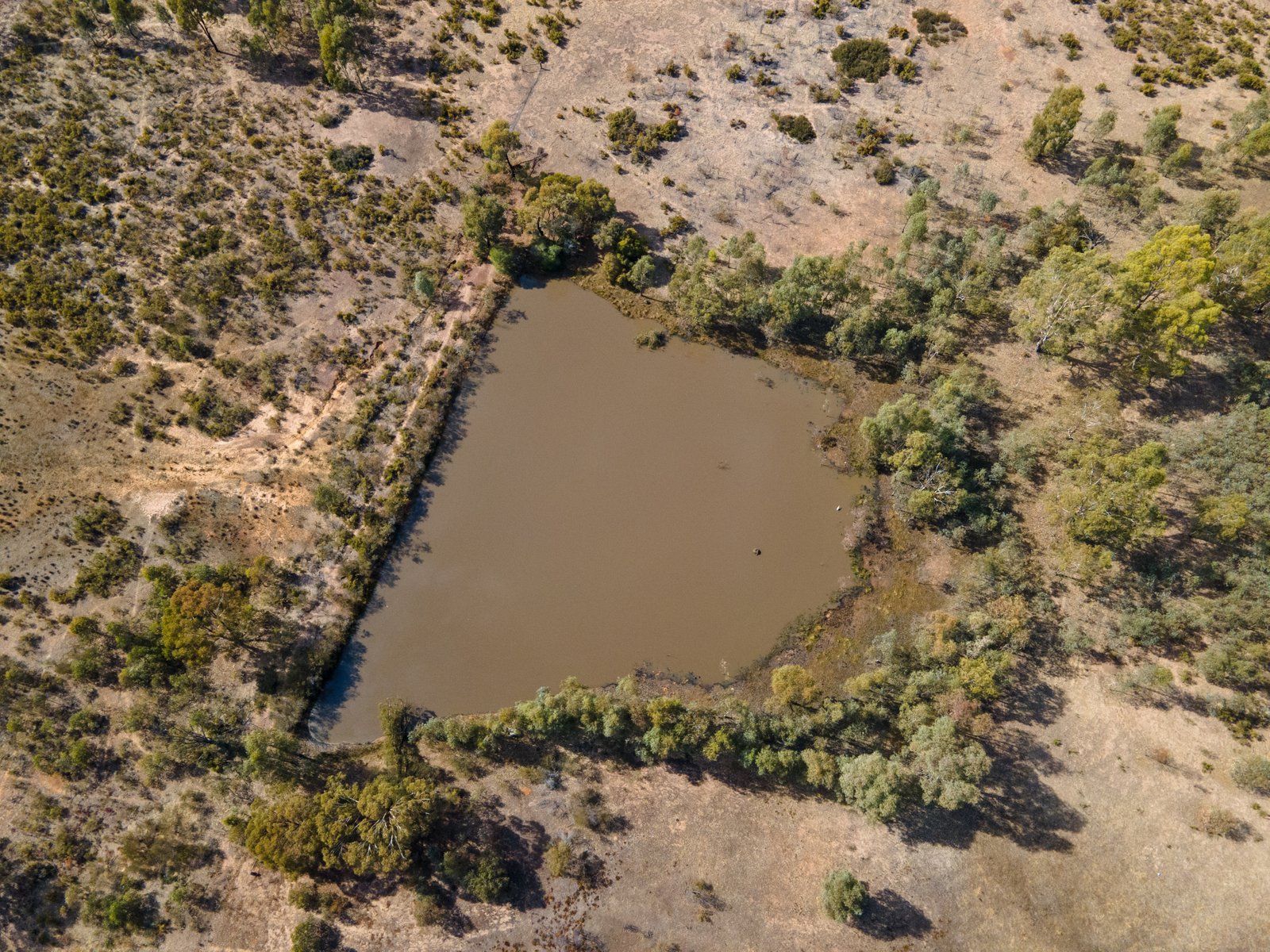 51 Maynard Road LONGLEA 13