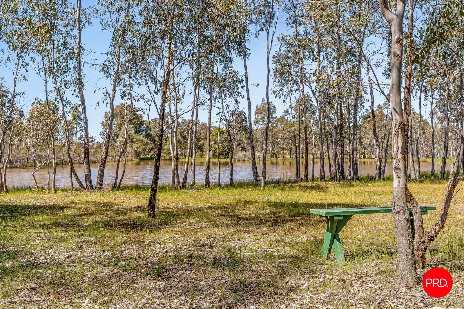51 Maynard Road LONGLEA 3