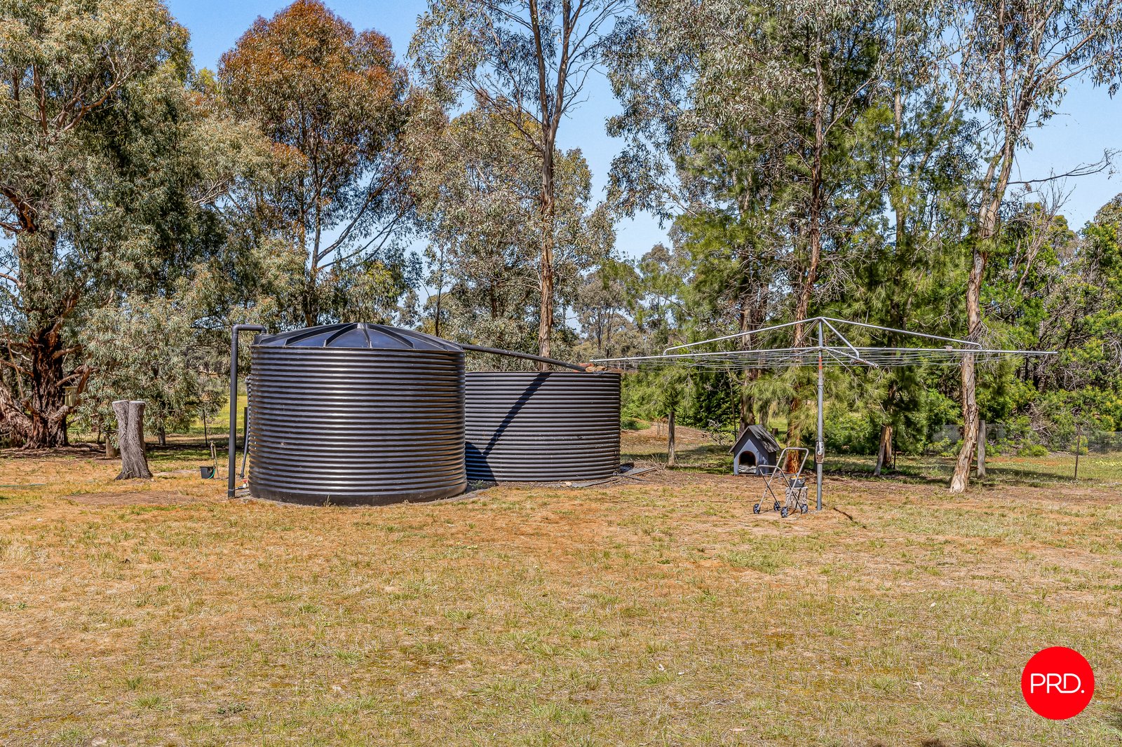 51 Maynard Road LONGLEA 19