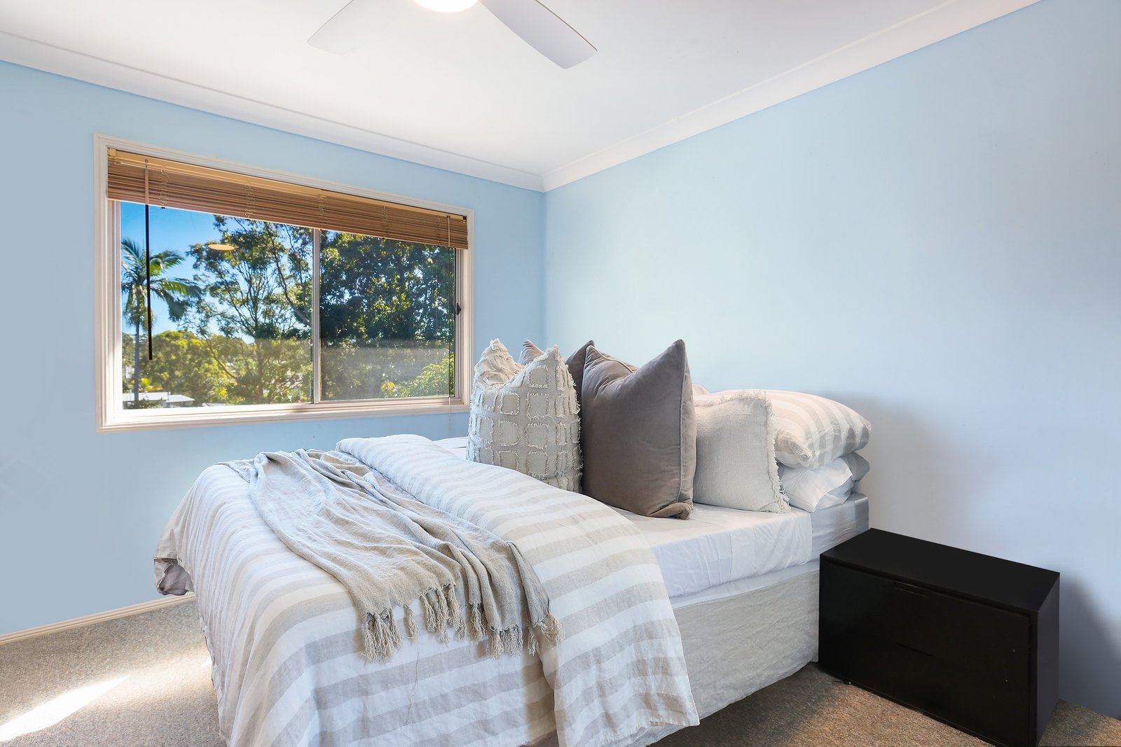 51 Mitchell Avenue MOLENDINAR 10