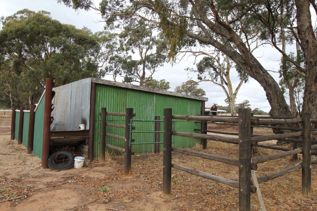 51 Mitchell Road AVOCA 5