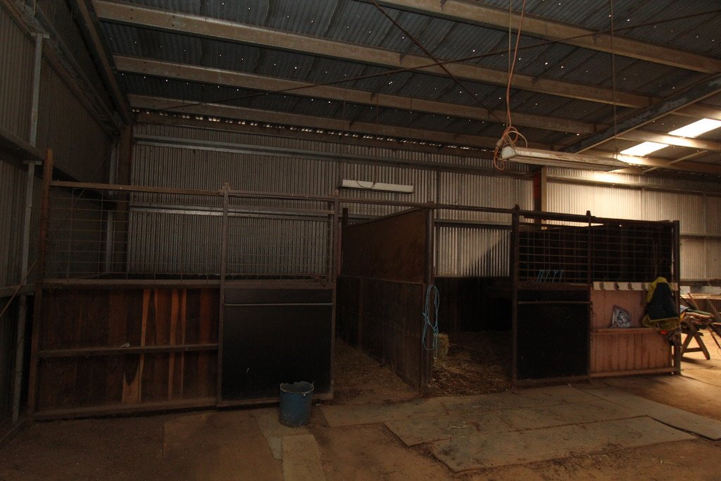 51 Mitchell Road AVOCA 6