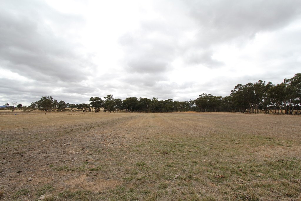 51 Mitchell Road AVOCA 8