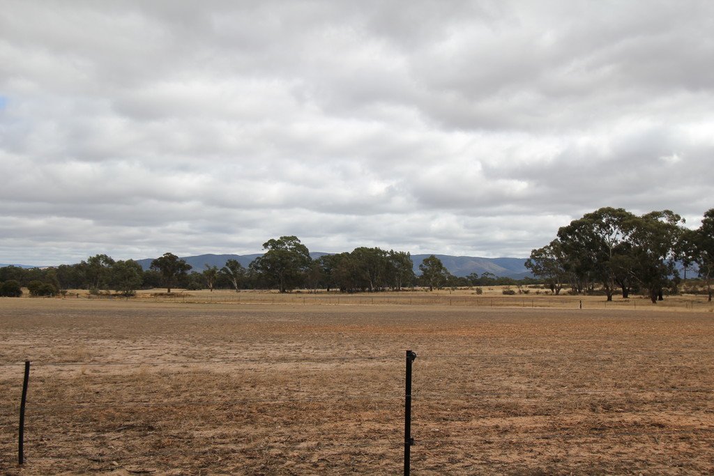 51 Mitchell Road AVOCA 9