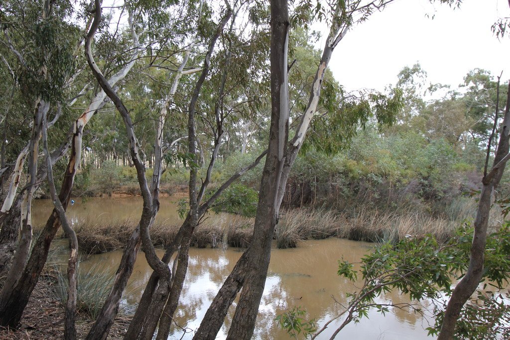 51 Mitchell Road AVOCA 11