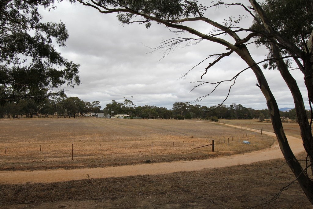 51 Mitchell Road AVOCA 12