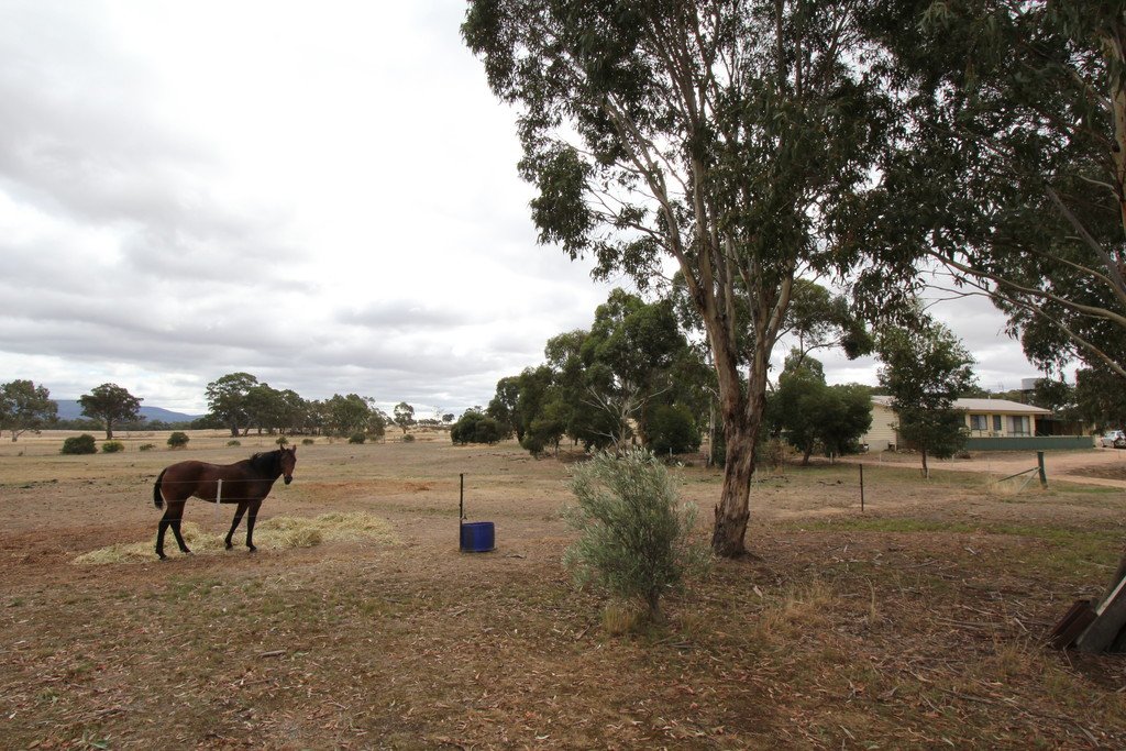 51 Mitchell Road AVOCA 21