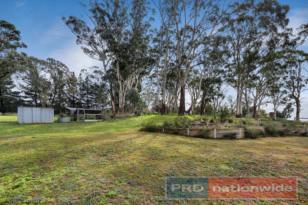 51 Molesworth Court GORDON 13