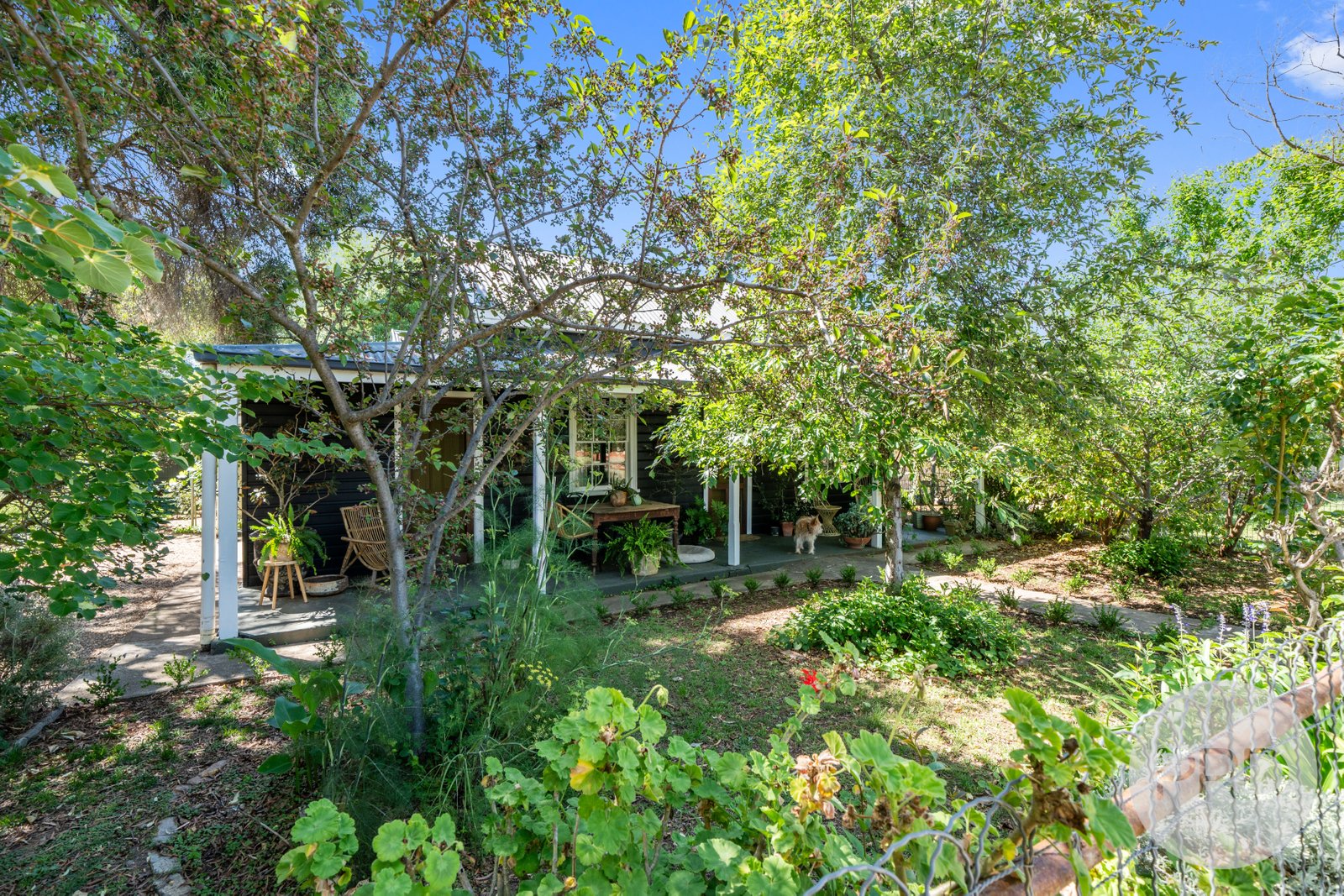 51 O'Connor Street URANQUINTY 2