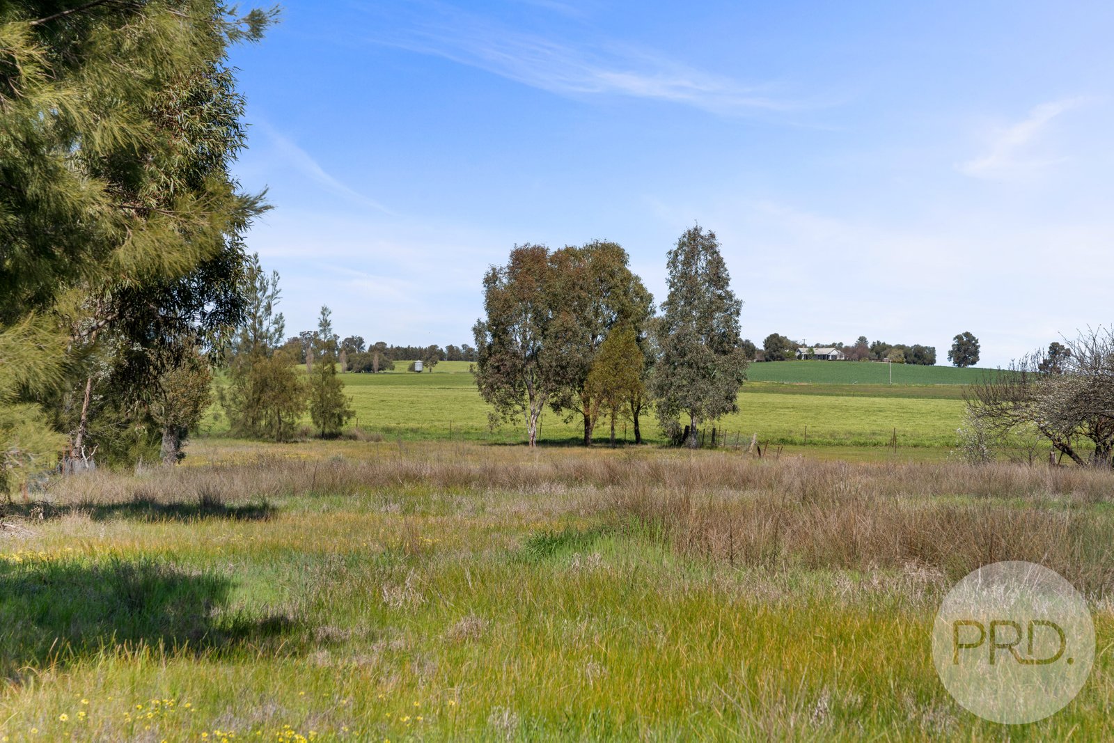 51 Plunkett Street YERONG CREEK 1