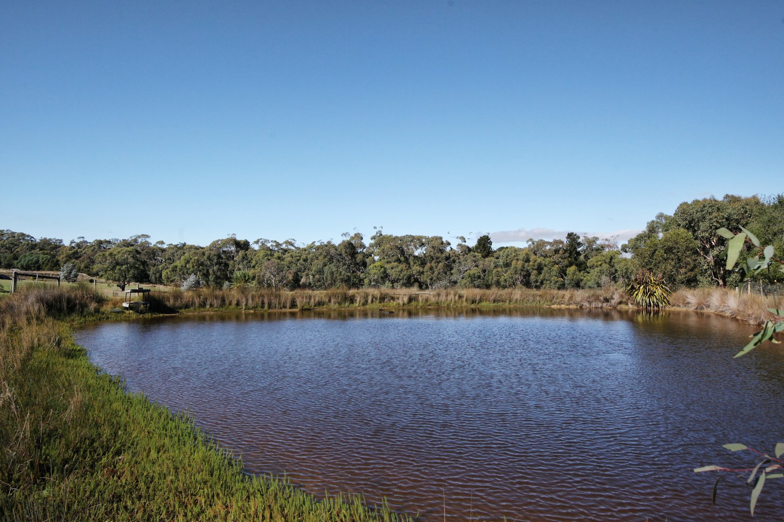 Real Estate and Property in 51 Rosa Court, Kyneton, VIC