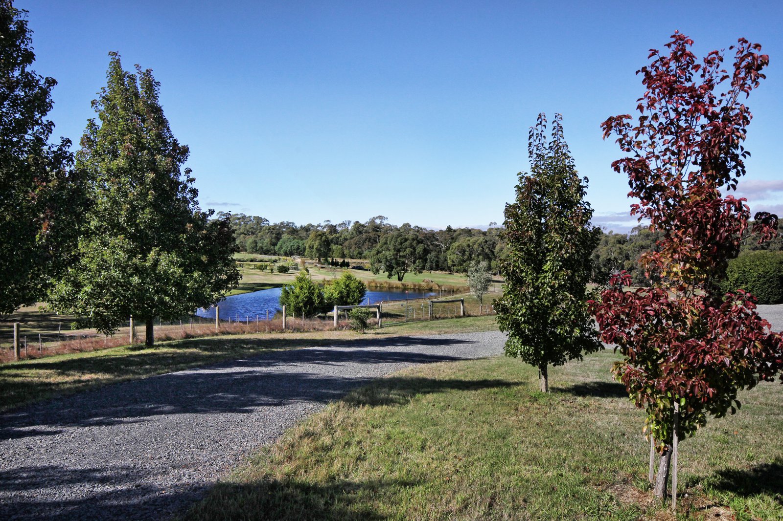 Real Estate and Property in 51 Rosa Court, Kyneton, VIC