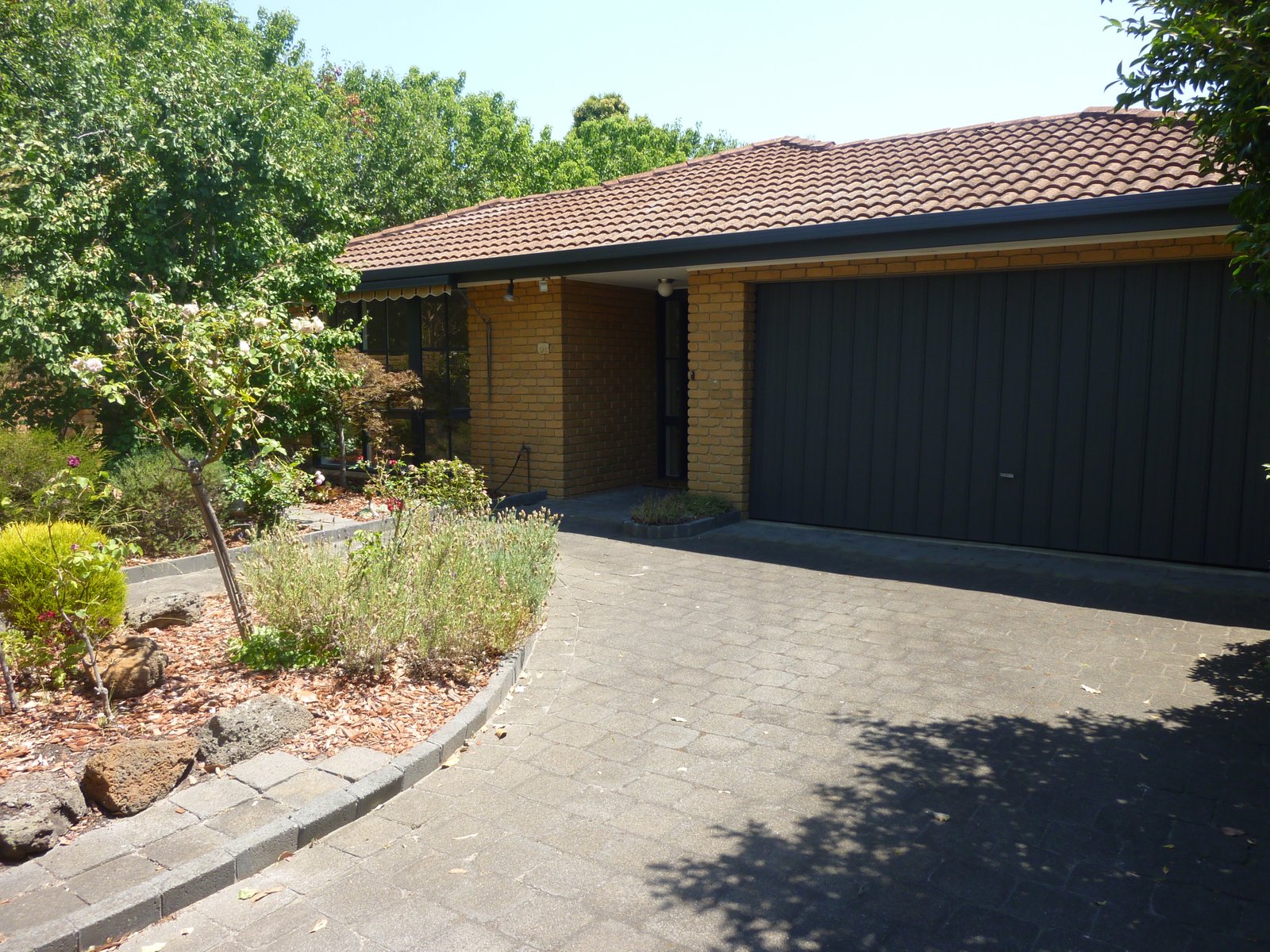 Gallery: 51 Roslyn Street