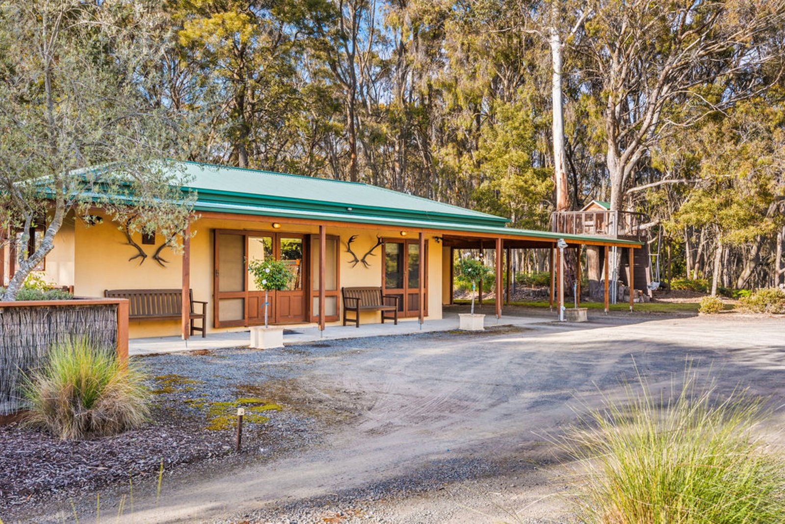 Gallery: 51 Scarffs Road North