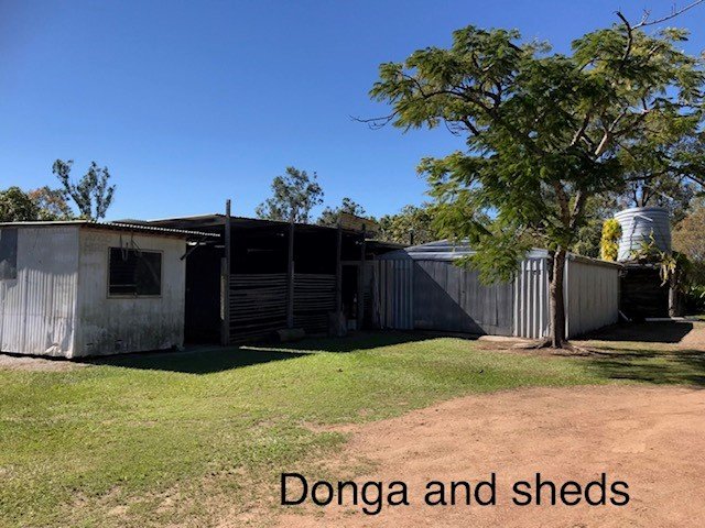 51 Scotts Road BOROREN 15