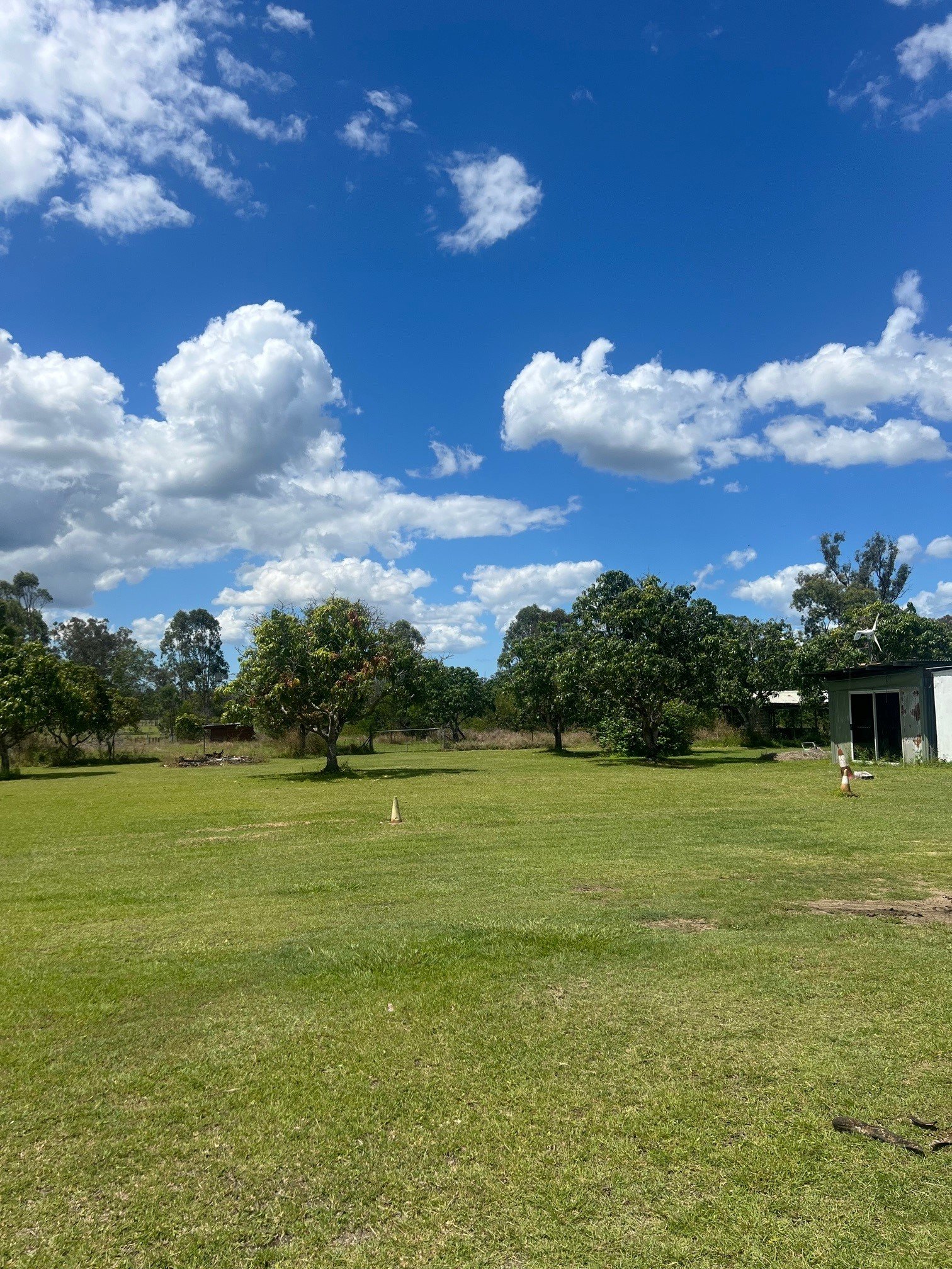 51 Scotts Road BOROREN 17