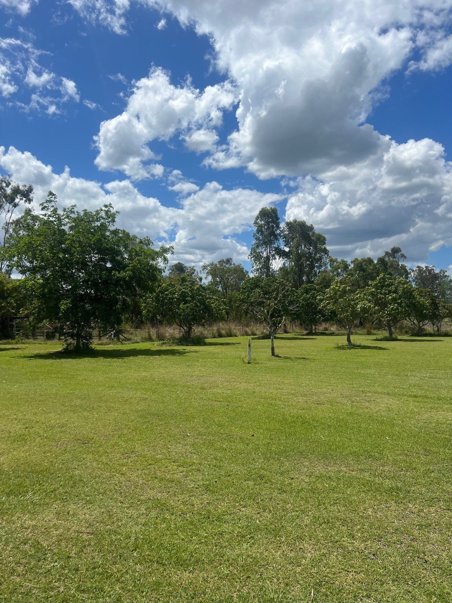 51 Scotts Road BOROREN 18