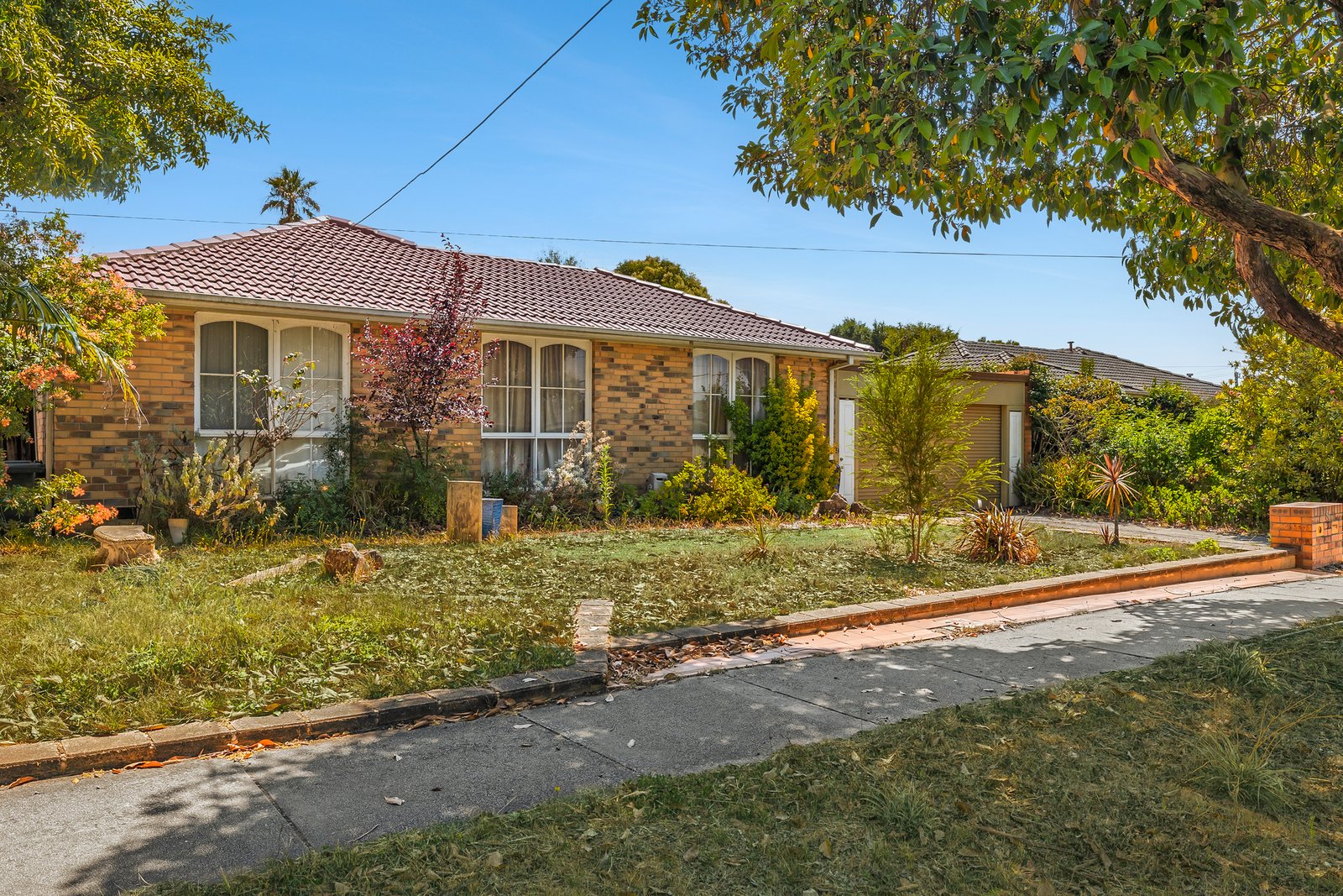 Gallery: 51 Walker Road
