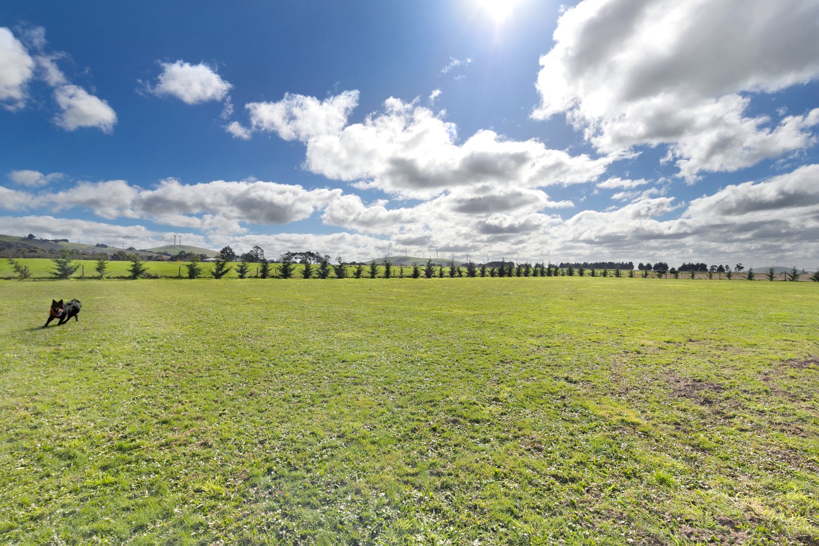 51 Waubra-Talbot Road WAUBRA 16