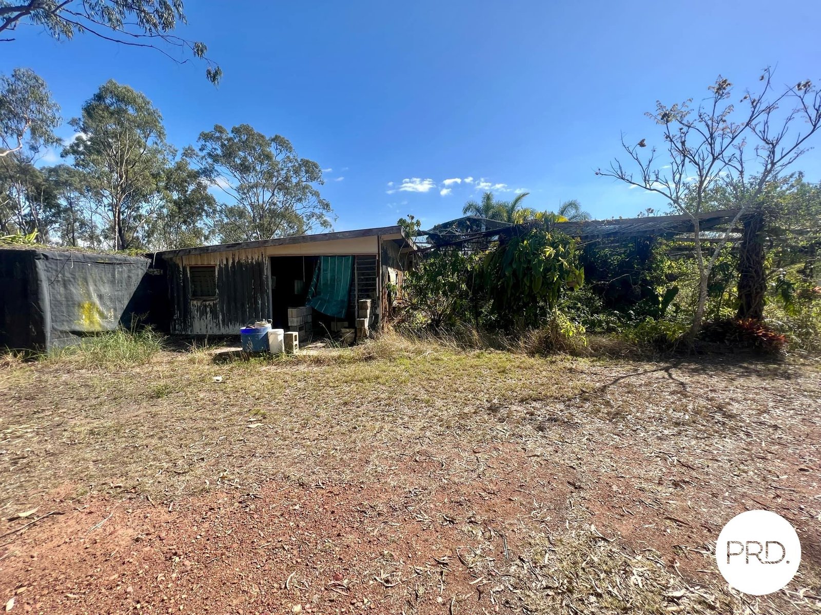 51 Wyndham Road BEECHER 17