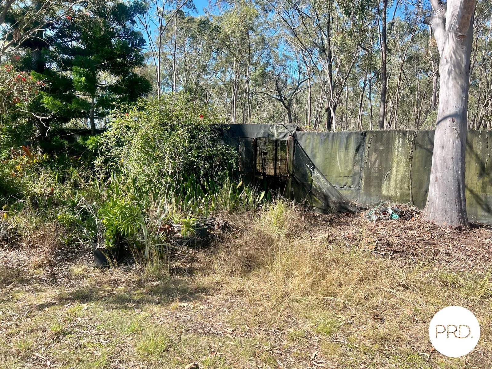 51 Wyndham Road BEECHER 18