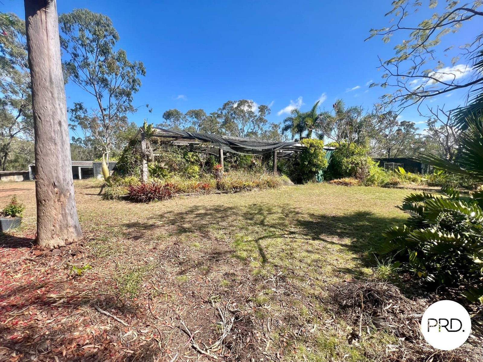 51 Wyndham Road BEECHER 20