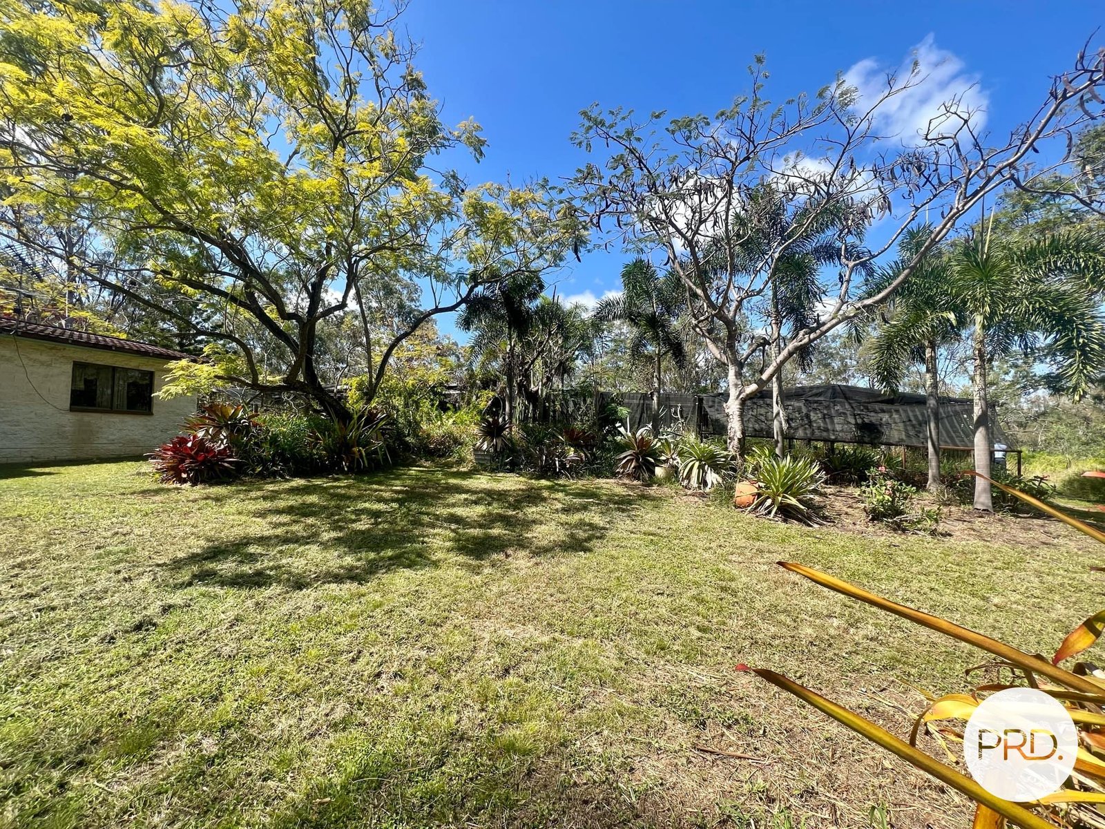 51 Wyndham Road BEECHER 25