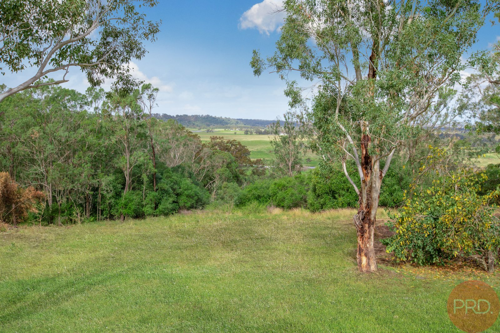 510 Maitland Vale Road MAITLAND VALE 3