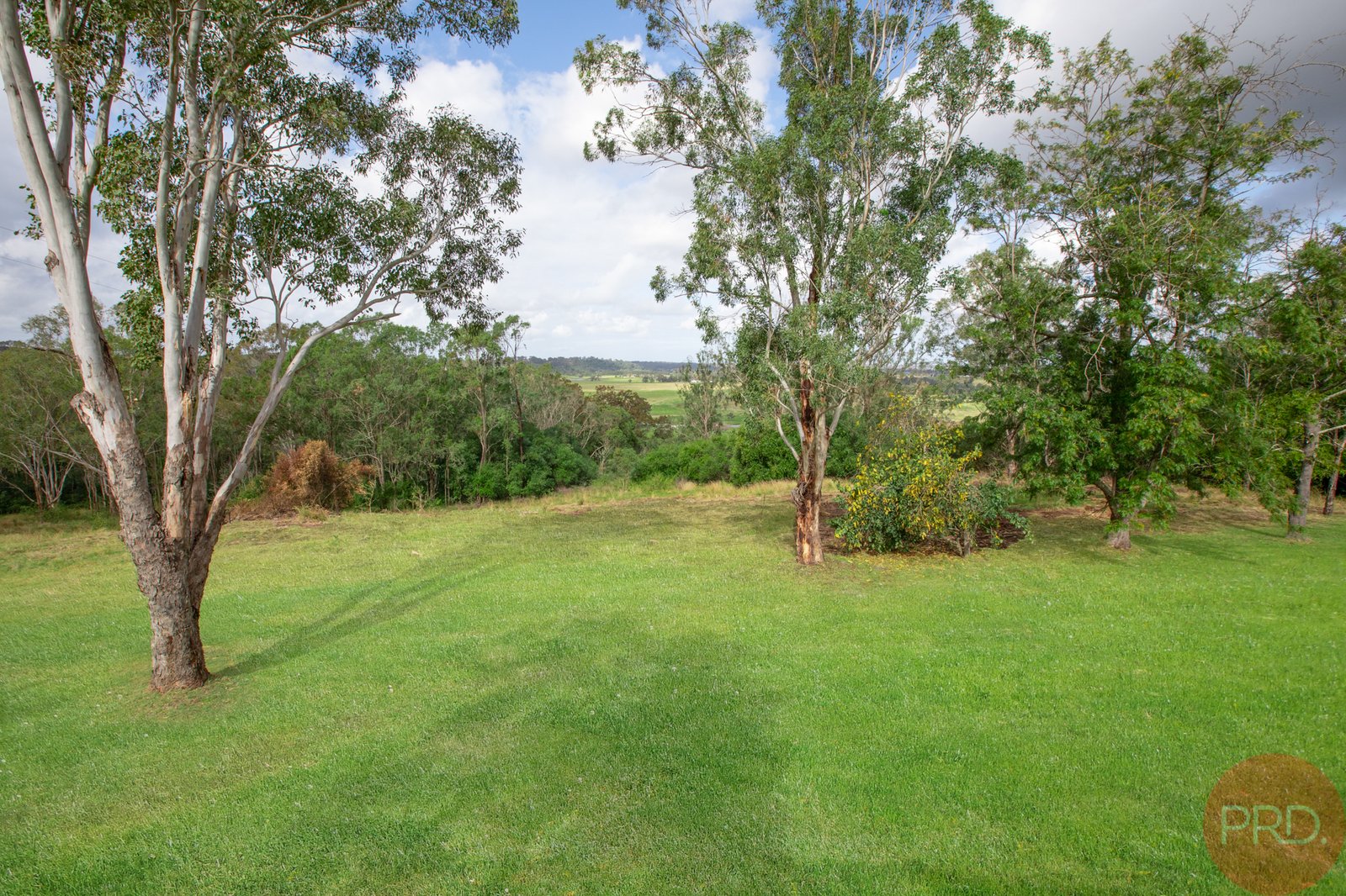 510 Maitland Vale Road MAITLAND VALE 20