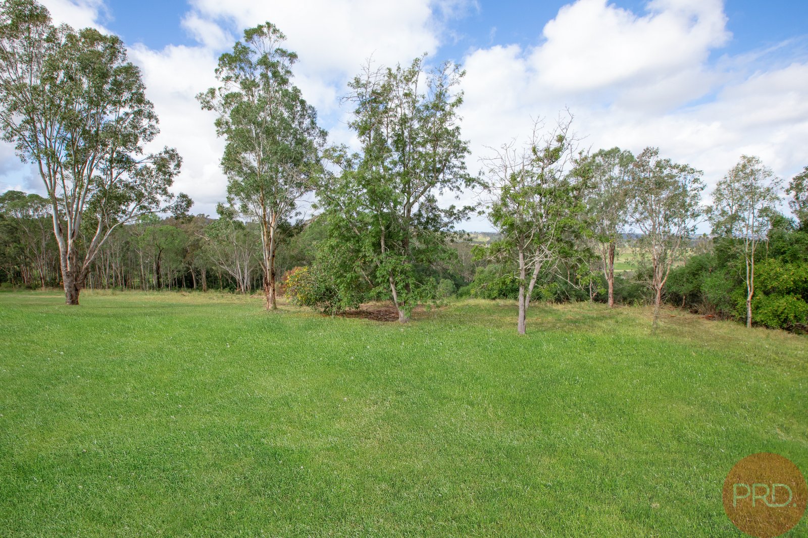 510 Maitland Vale Road MAITLAND VALE 21