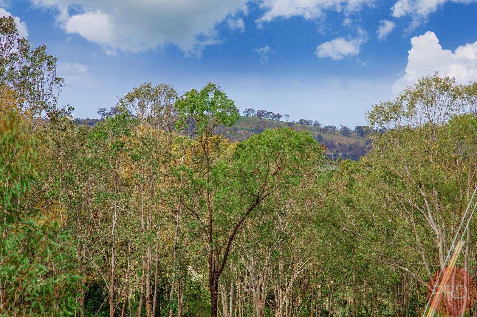 510 Maitland Vale Road MAITLAND VALE 27
