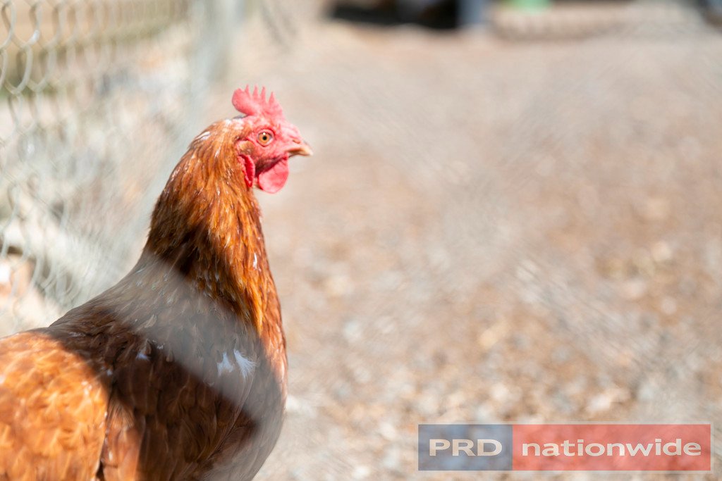 511 Old Melbourne Road BALLAN 23