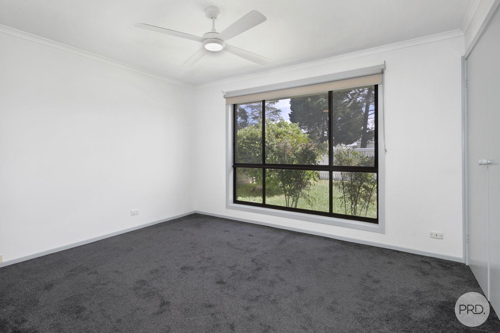 511 Rubicon Street SEBASTOPOL 7