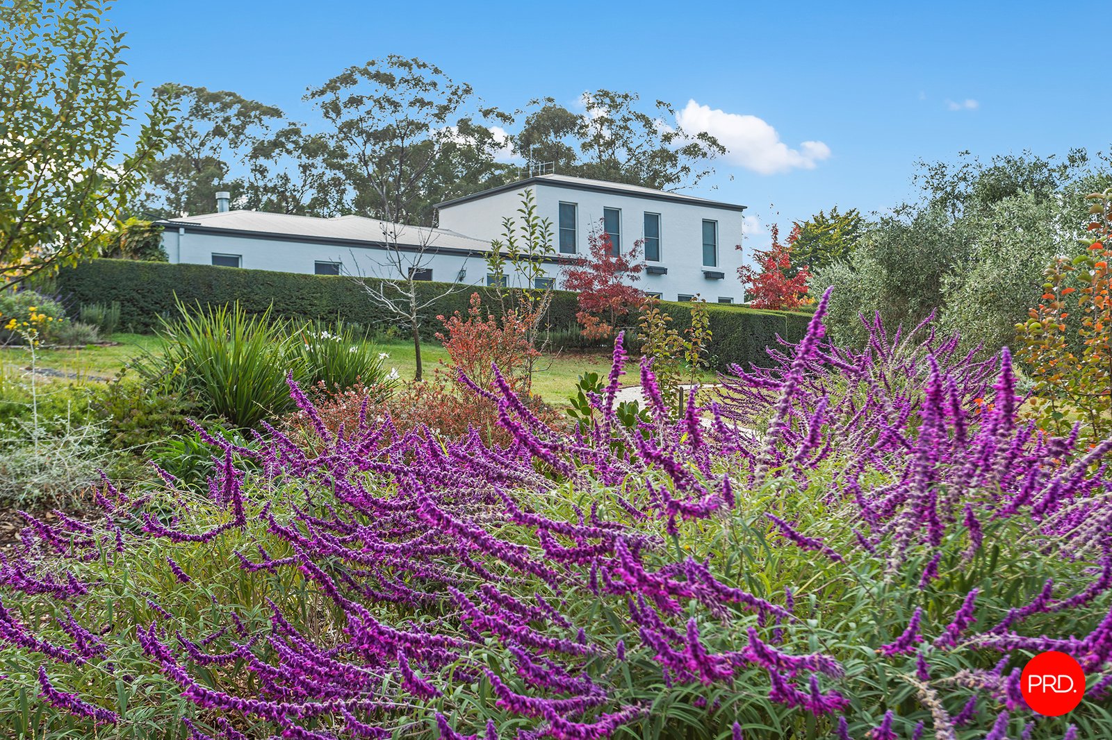 511 Strathfieldsaye Road STRATHFIELDSAYE 3