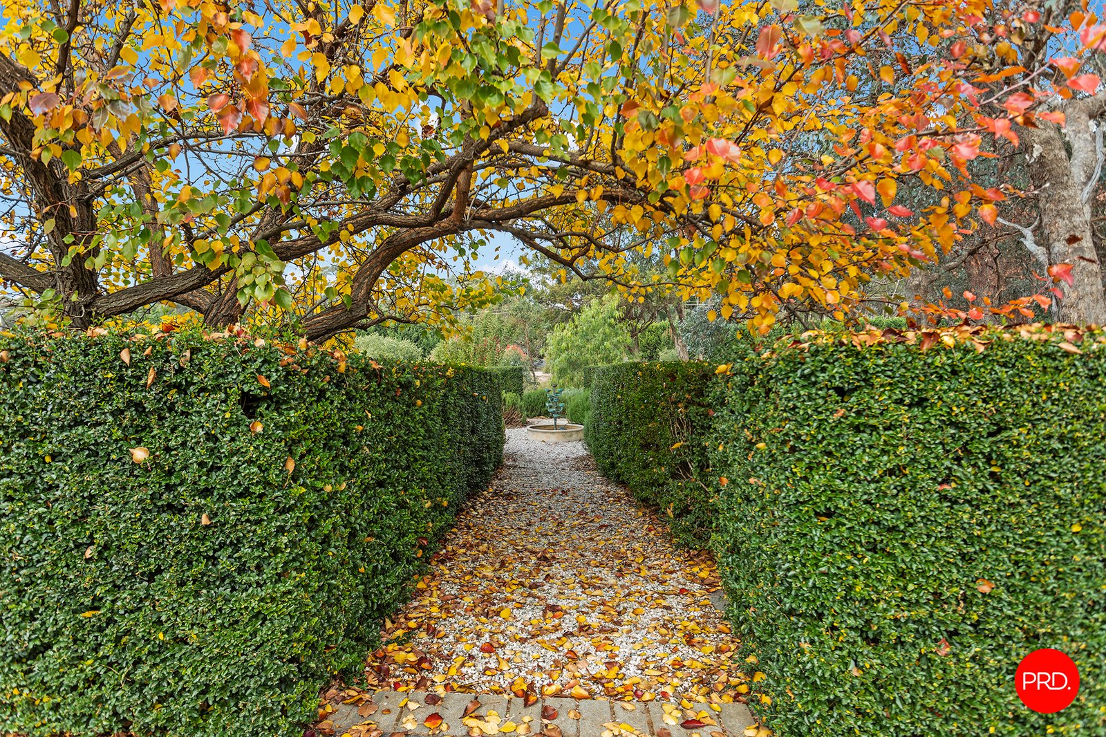 511 Strathfieldsaye Road STRATHFIELDSAYE 24