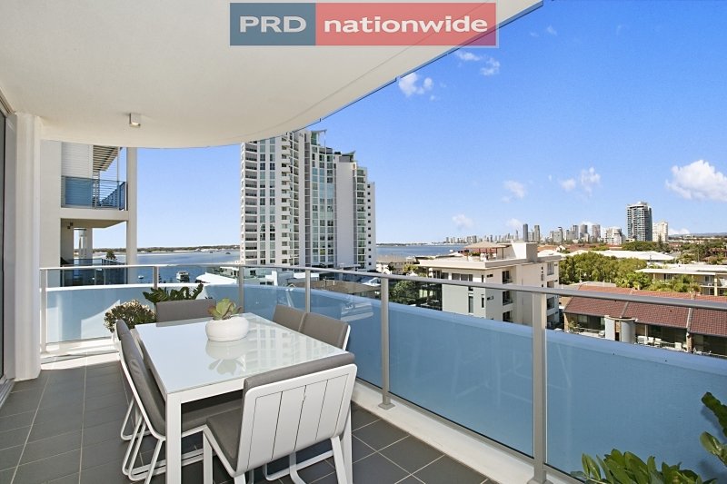 511/19 Imperial Parade LABRADOR 5