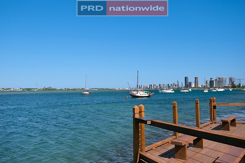 511/19 Imperial Parade LABRADOR 11